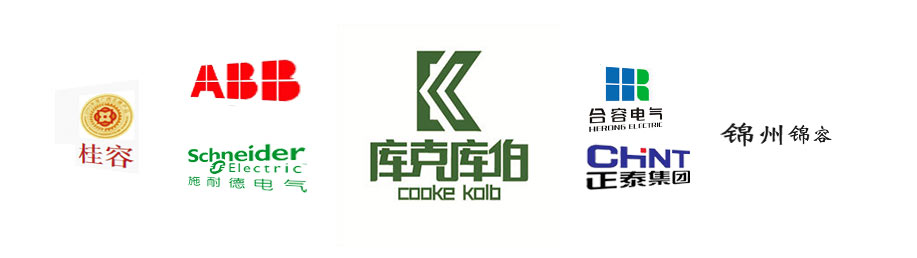 國內影響比較大的電力電容器品牌推薦