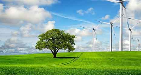 庫克庫伯：以安全可靠為選材標準